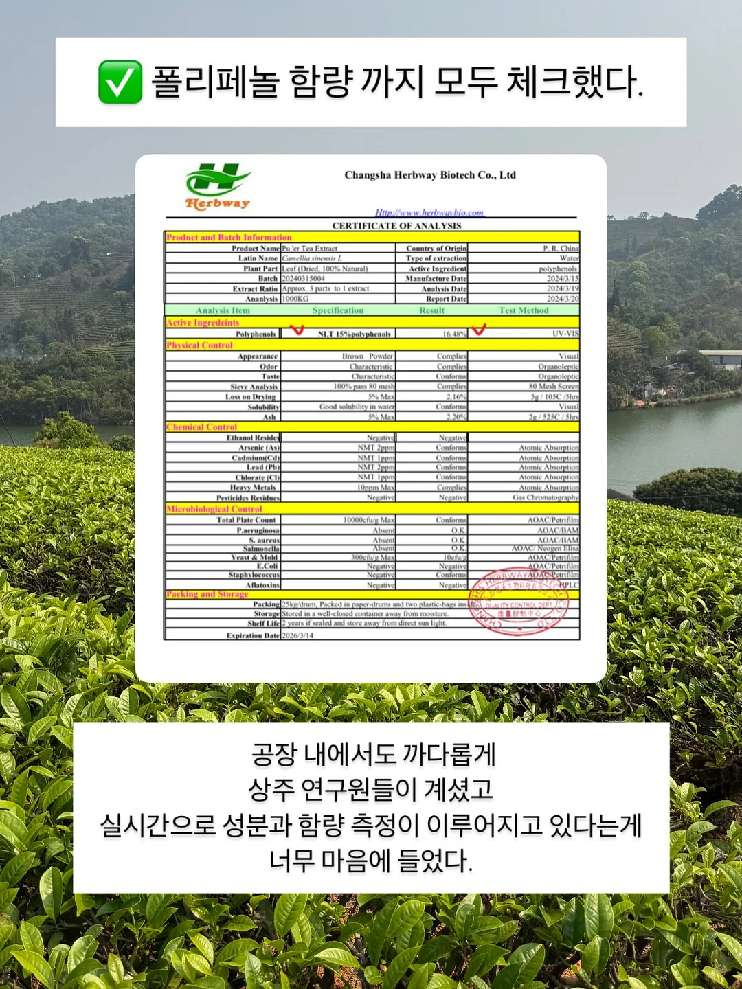 흑임자쌀케이크 14