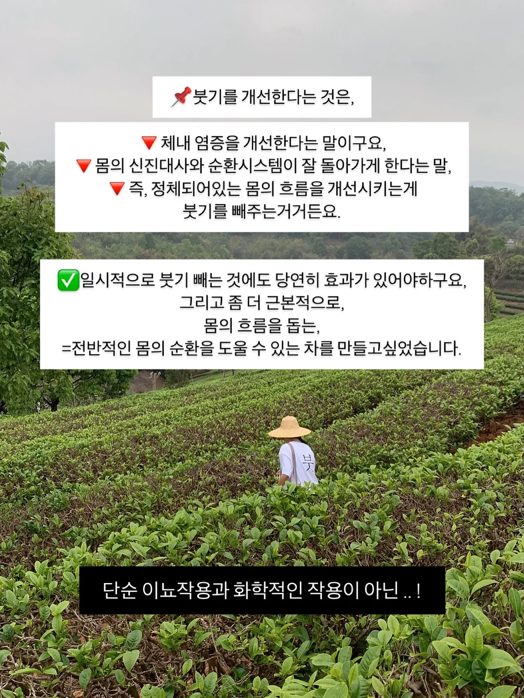 흑임자쌀케이크 4