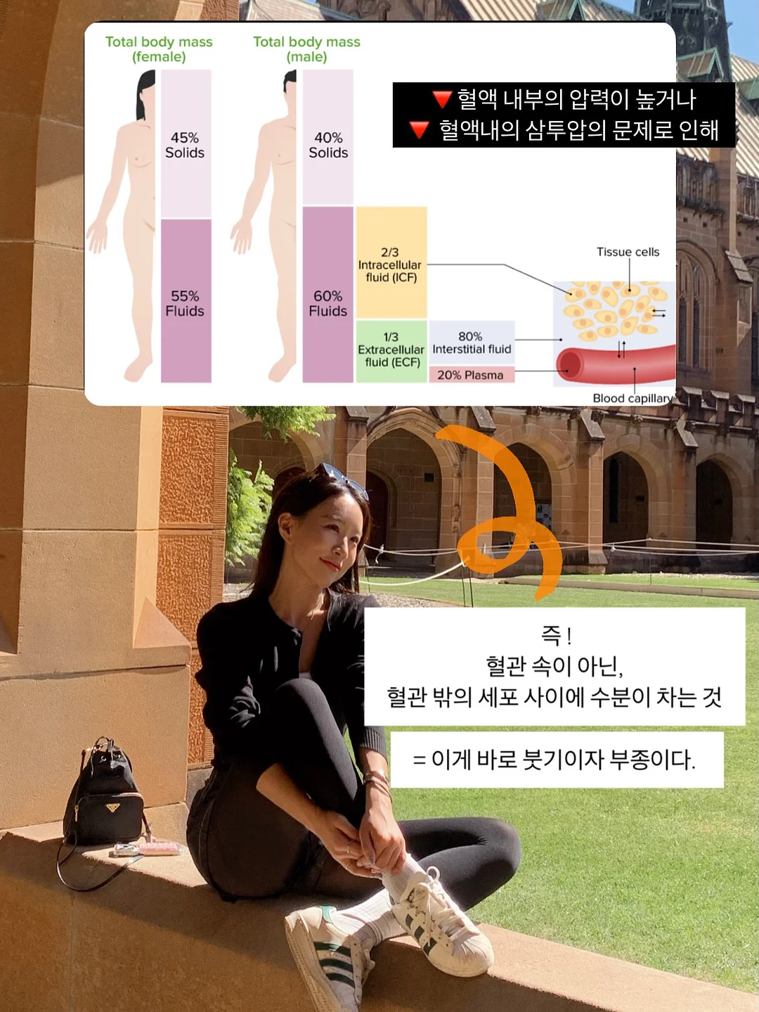 흑임자쌀케이크 6