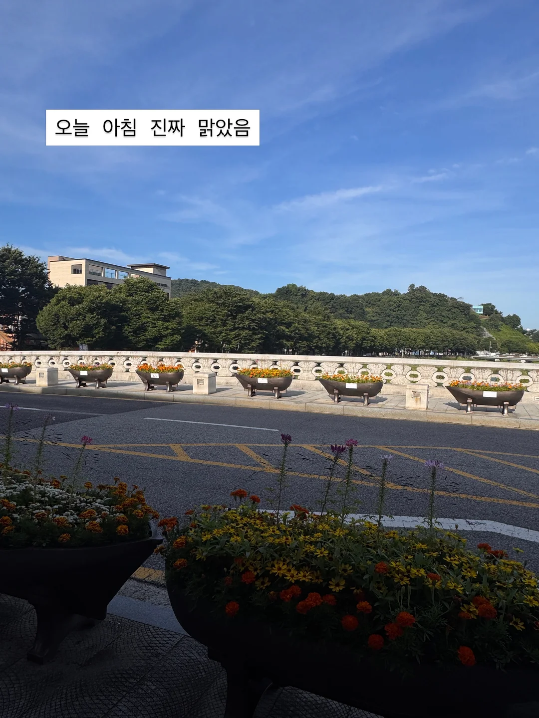 별빛 아이스 이불 11