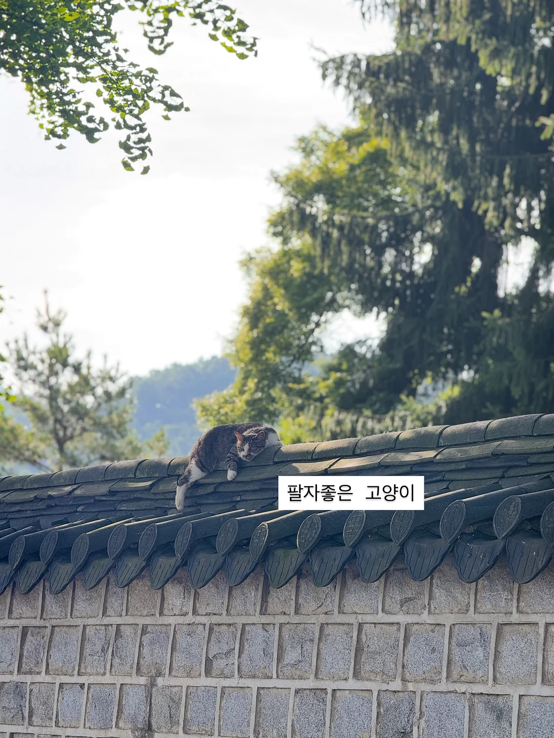 별빛 아이스 이불 13
