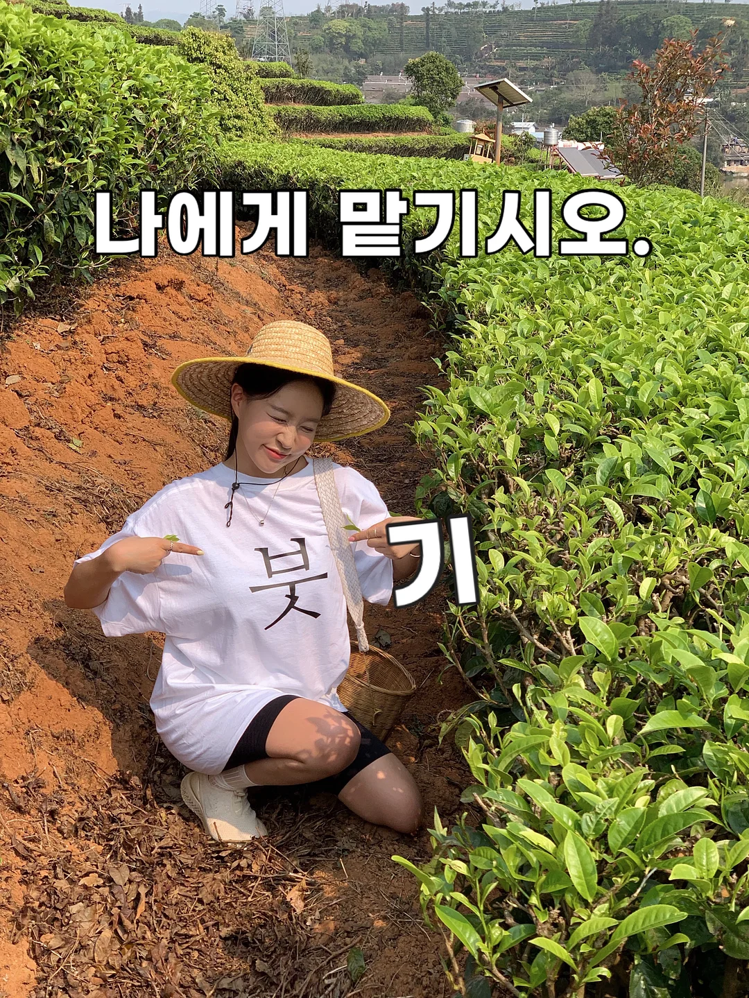 라빌리 토트백 1