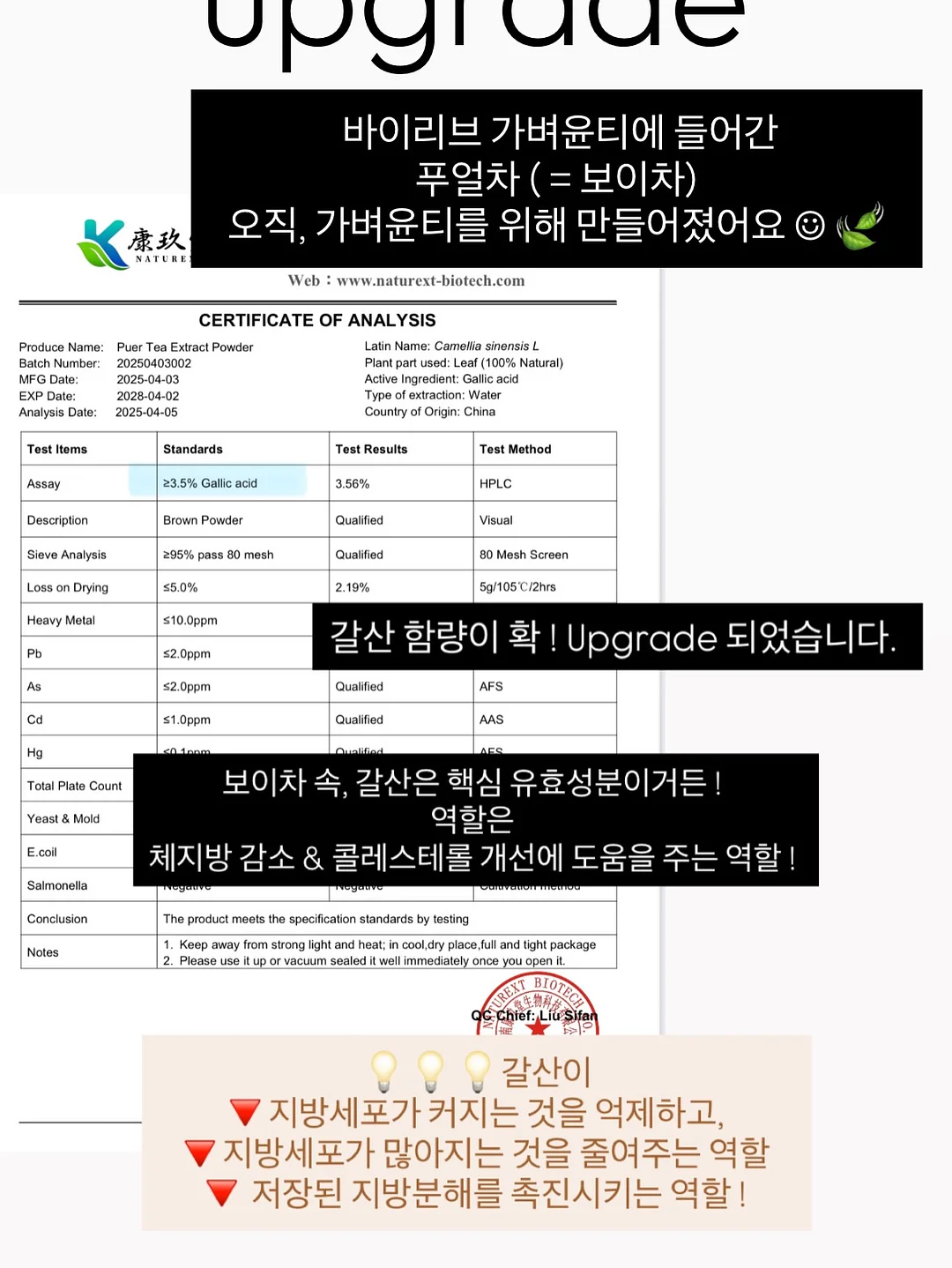 라빌리 토트백 15