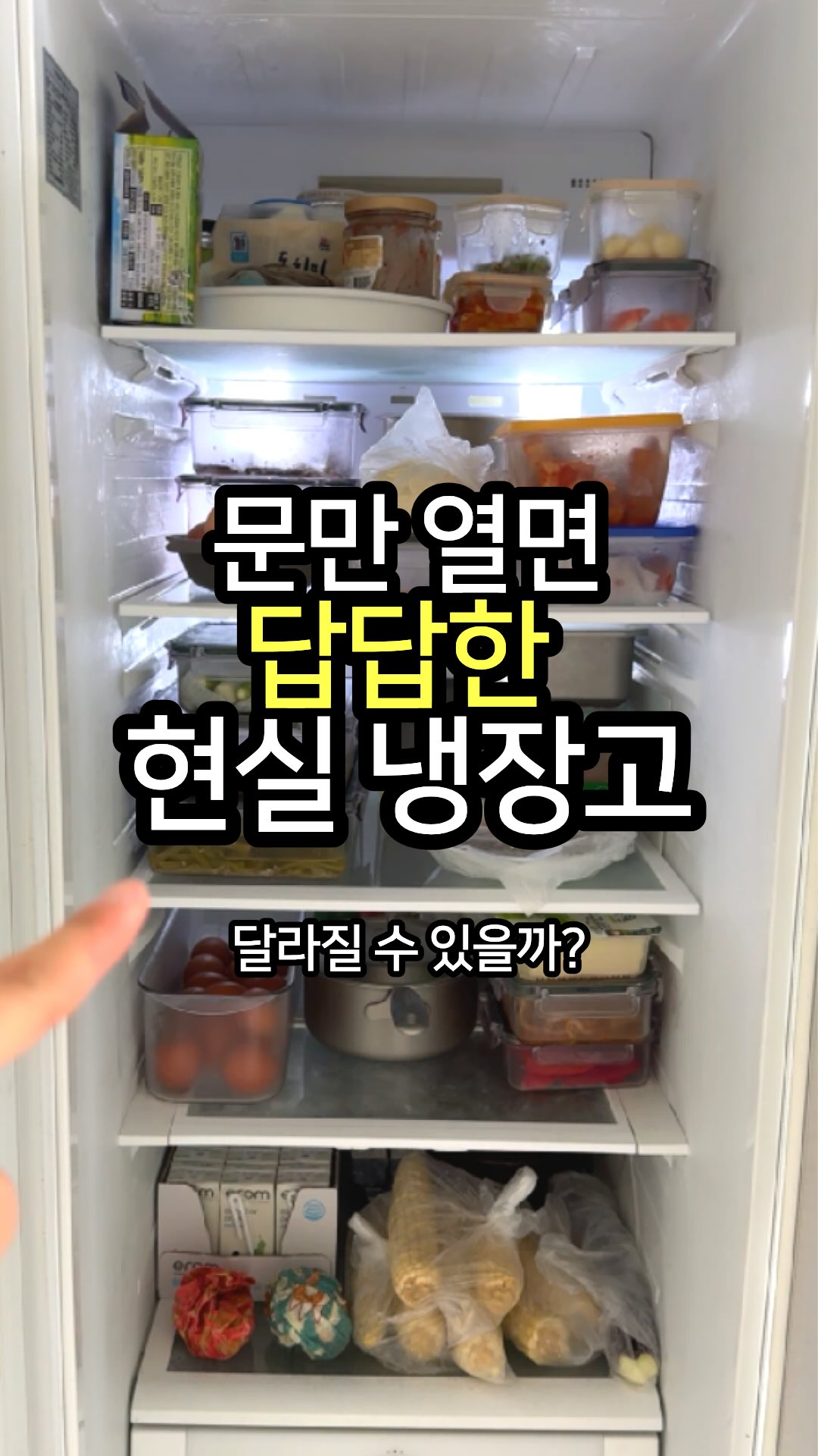 일본 정품 랜덤팩
