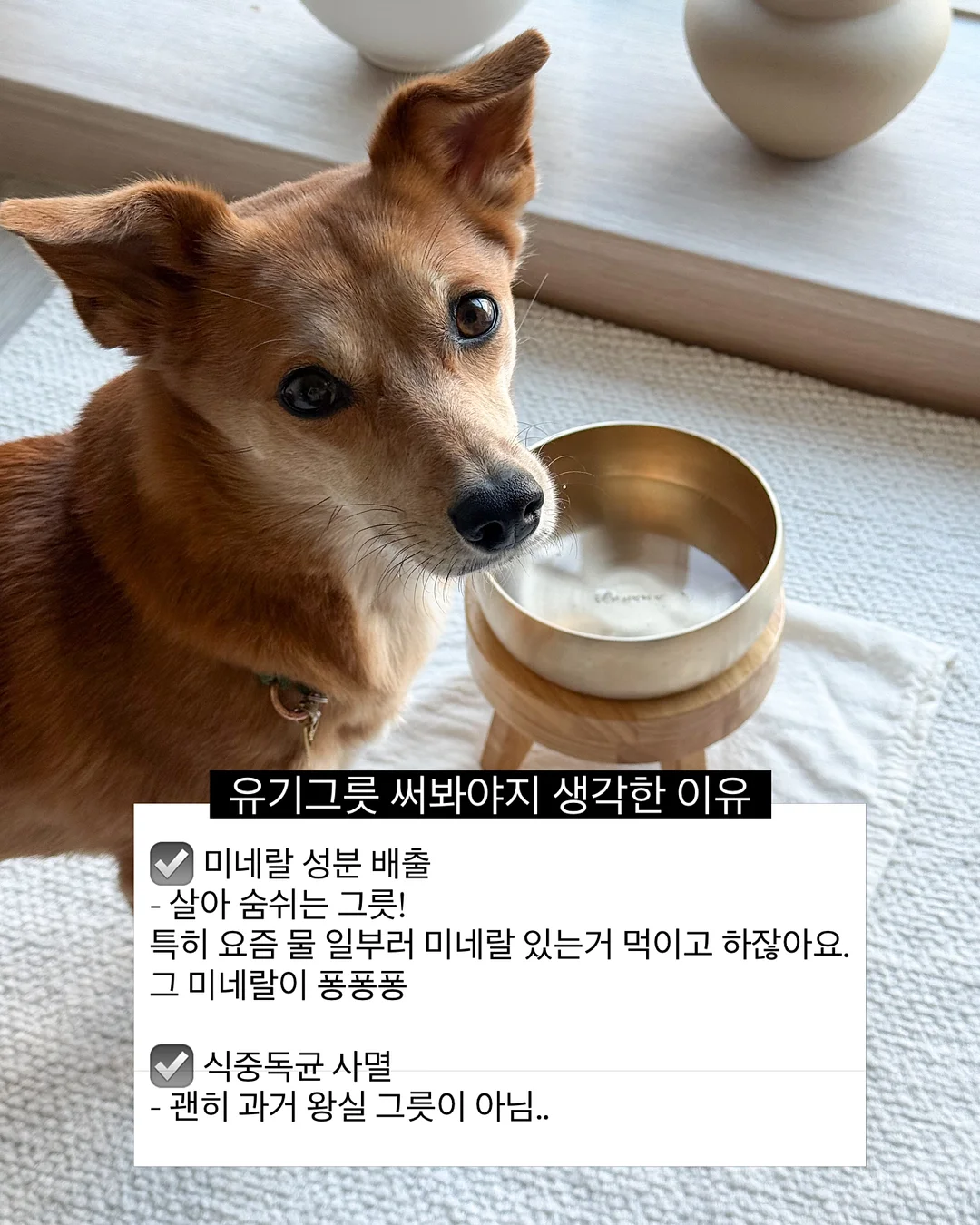 벌룬 배기 팬츠 2