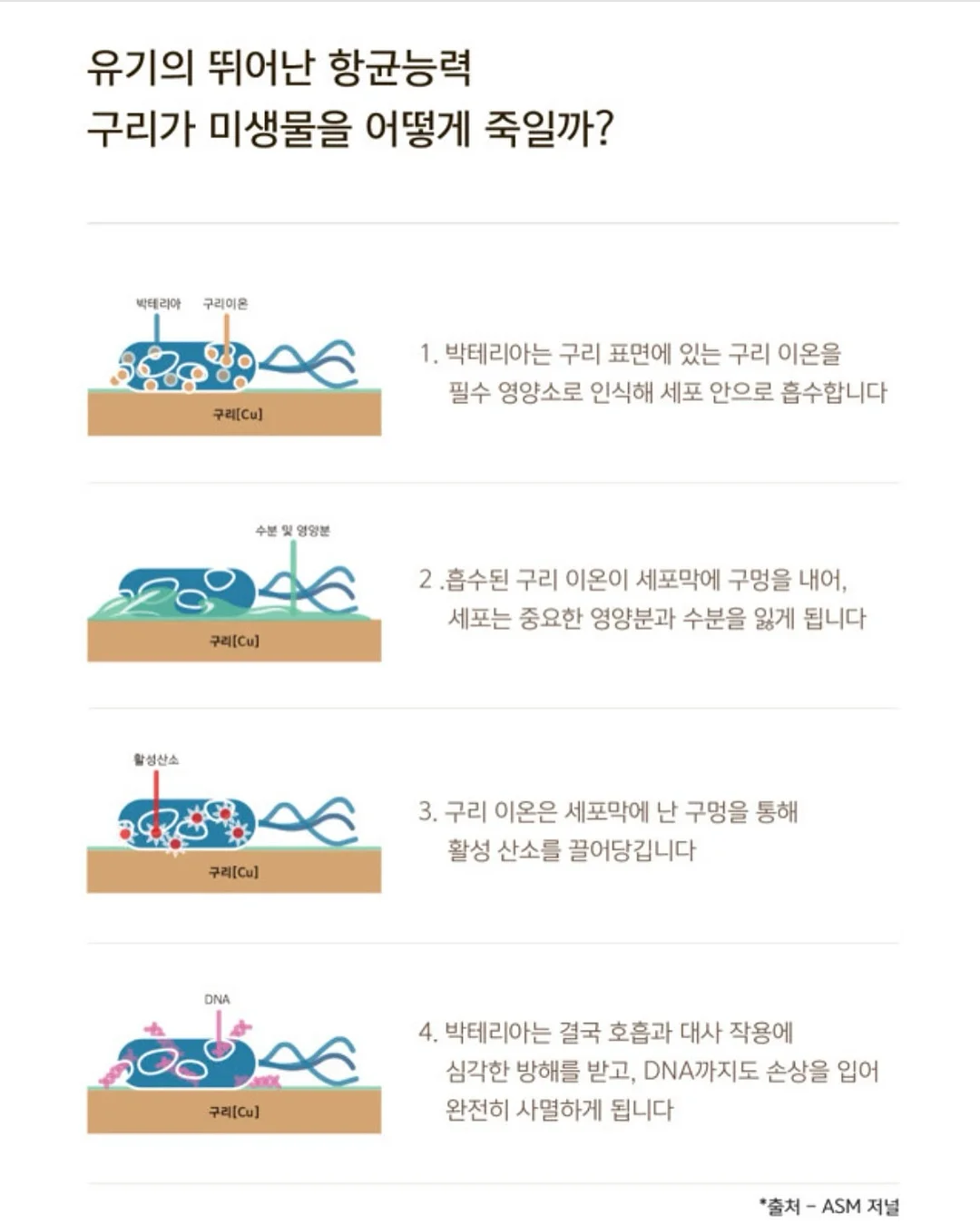 벌룬 배기 팬츠 6