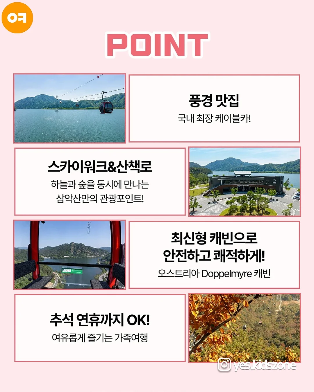 망고원액 5