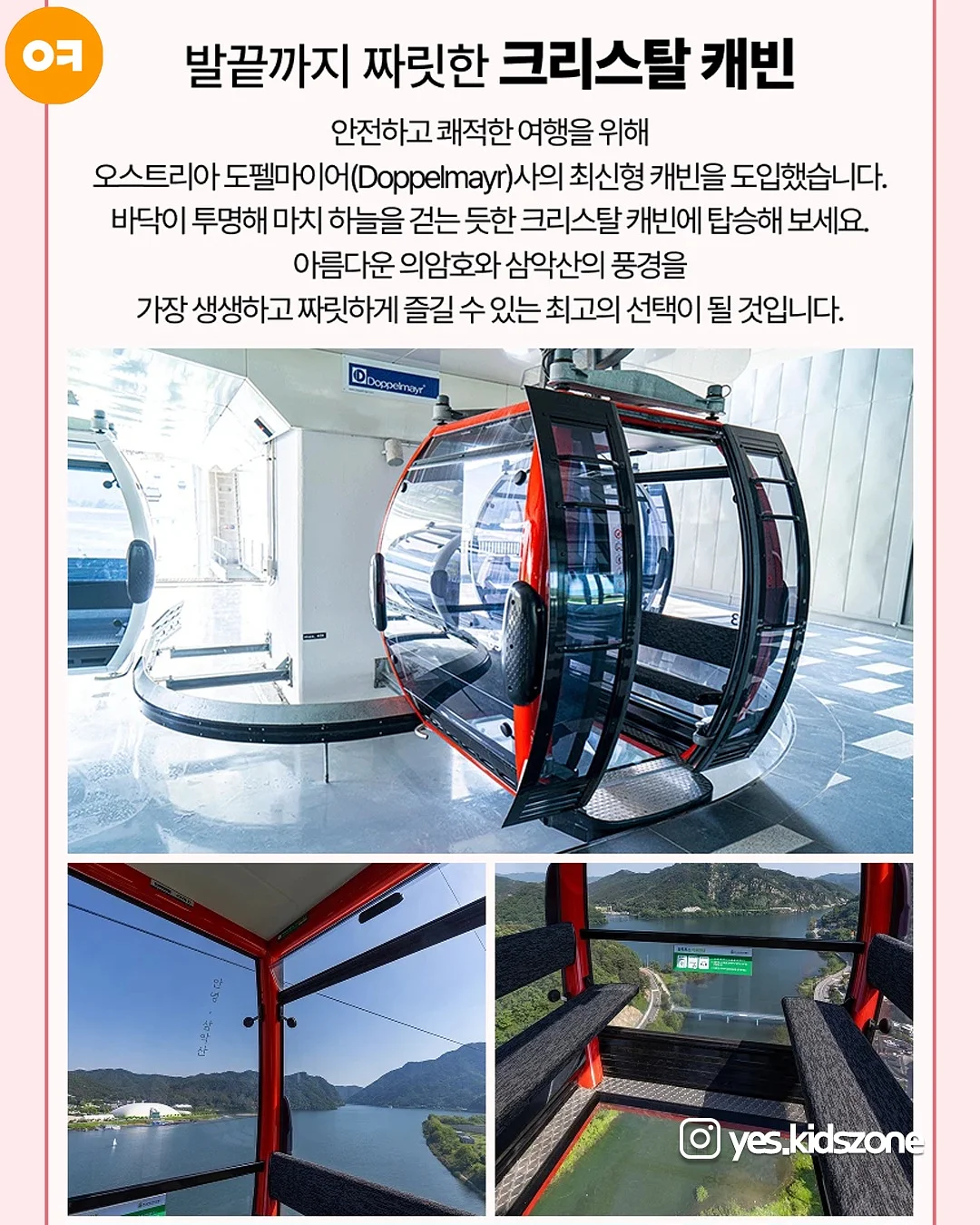 망고원액 7