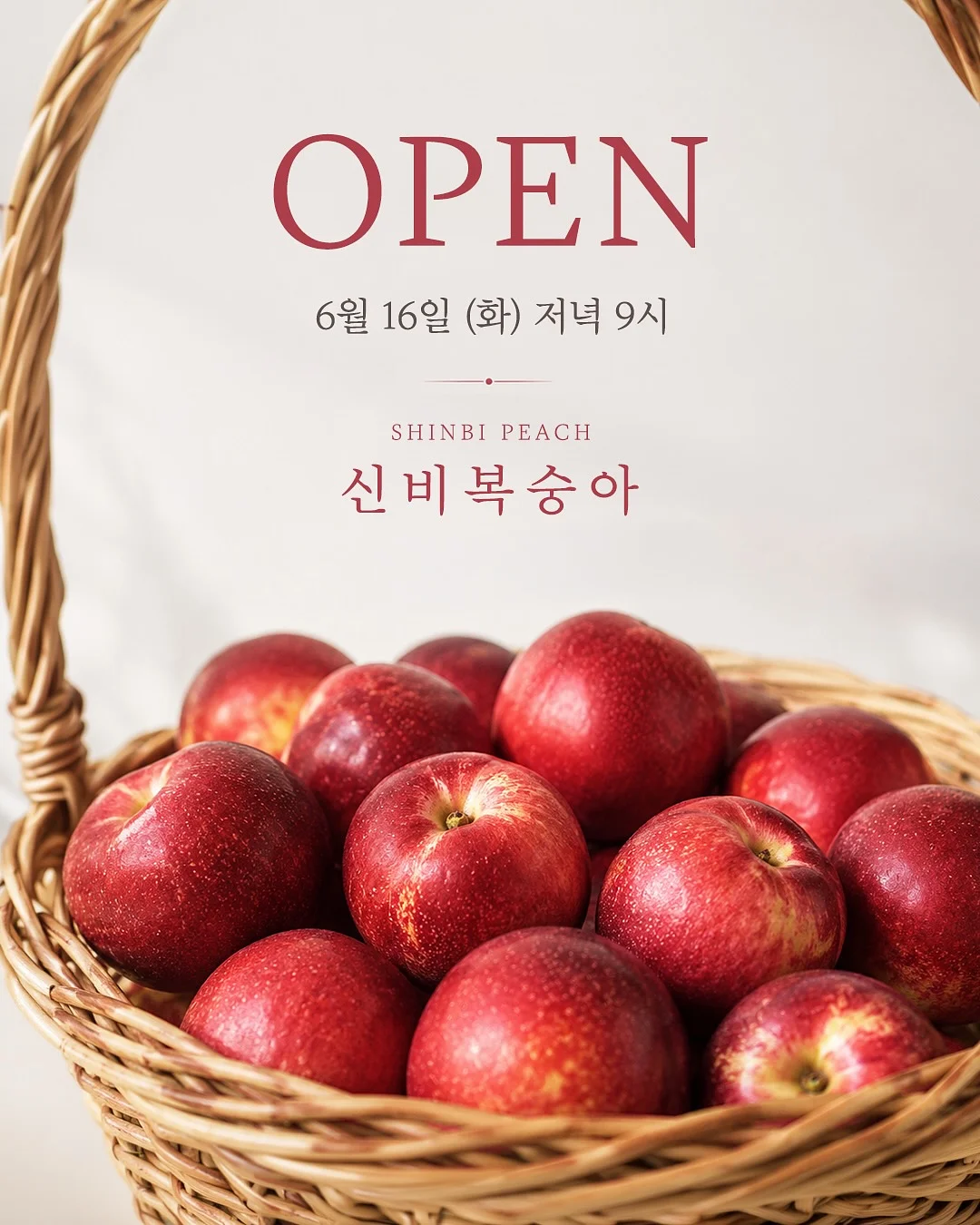 다크심리학 2 1