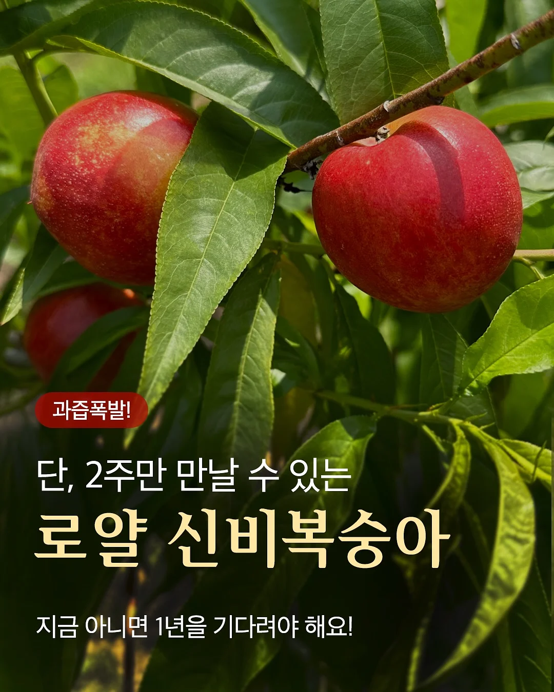다크심리학 2 2