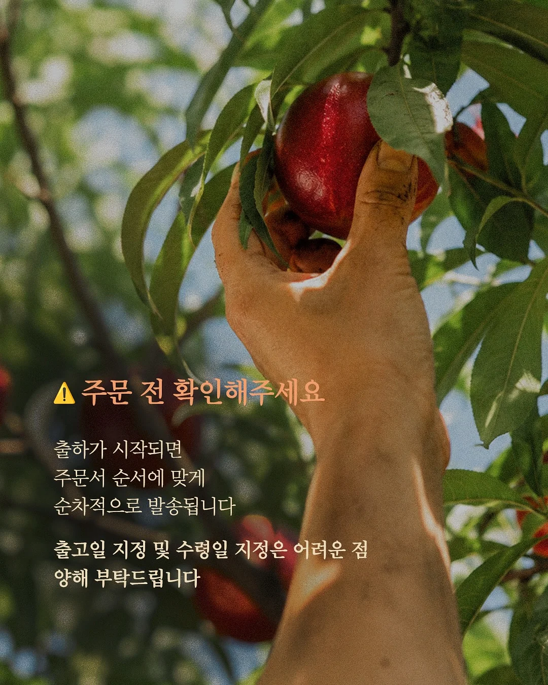 다크심리학 2 3