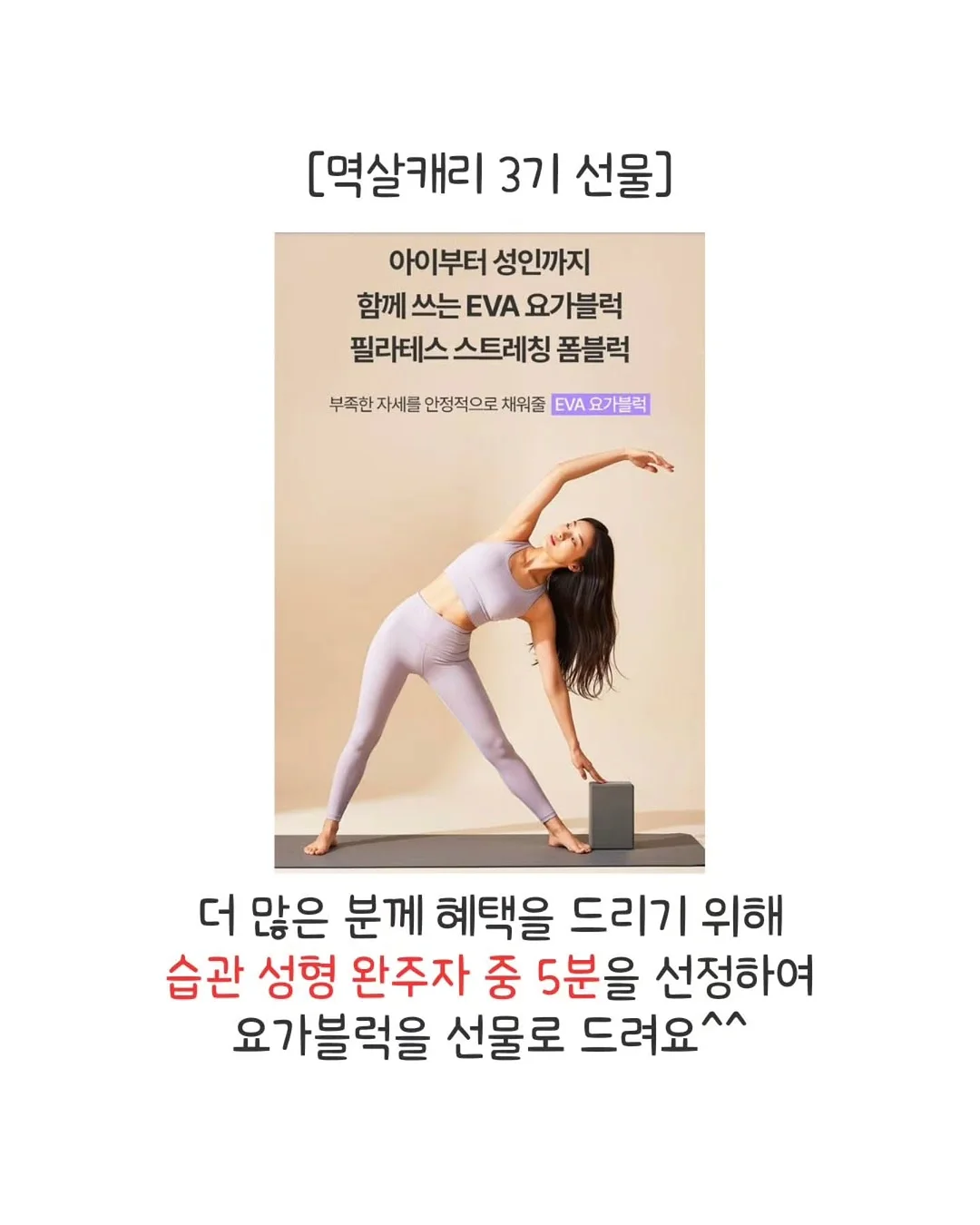 보니토 신상 의류 13