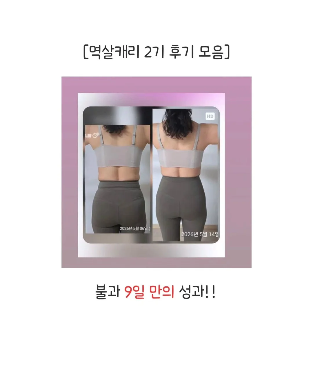 보니토 신상 의류 8