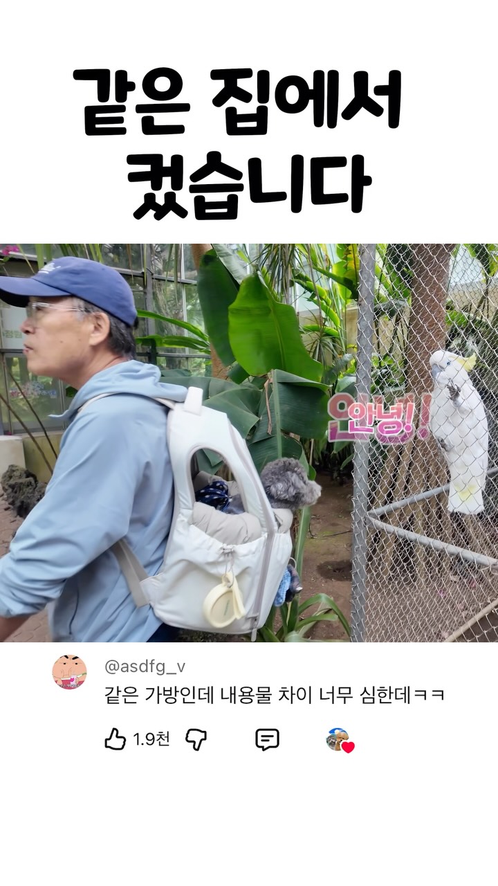 후에키 사탕