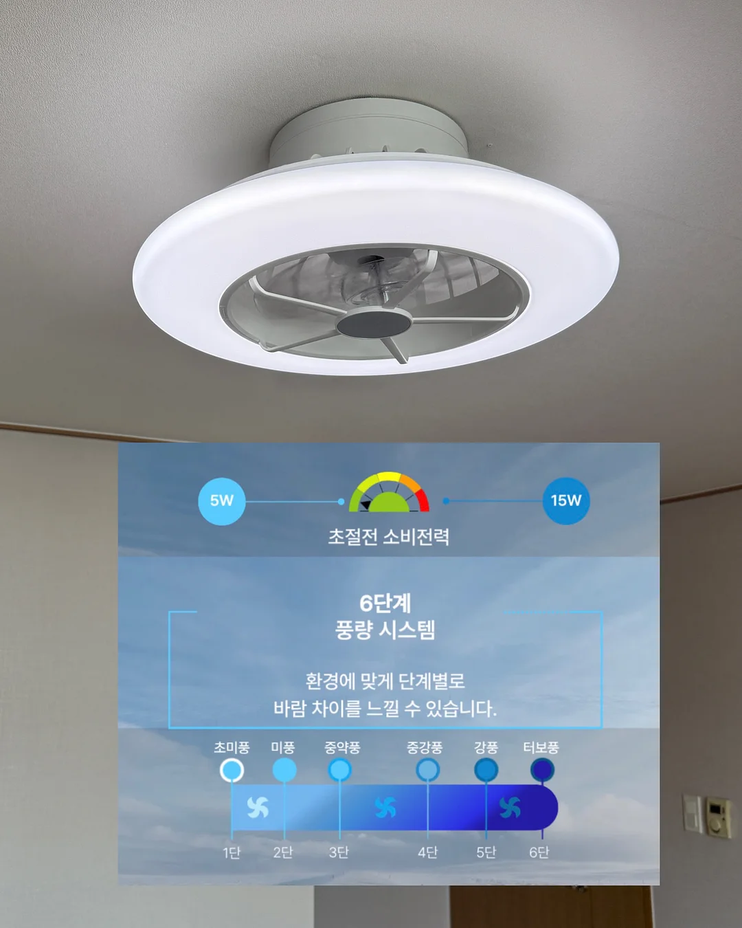 대사 회복 10일 프로젝트 10