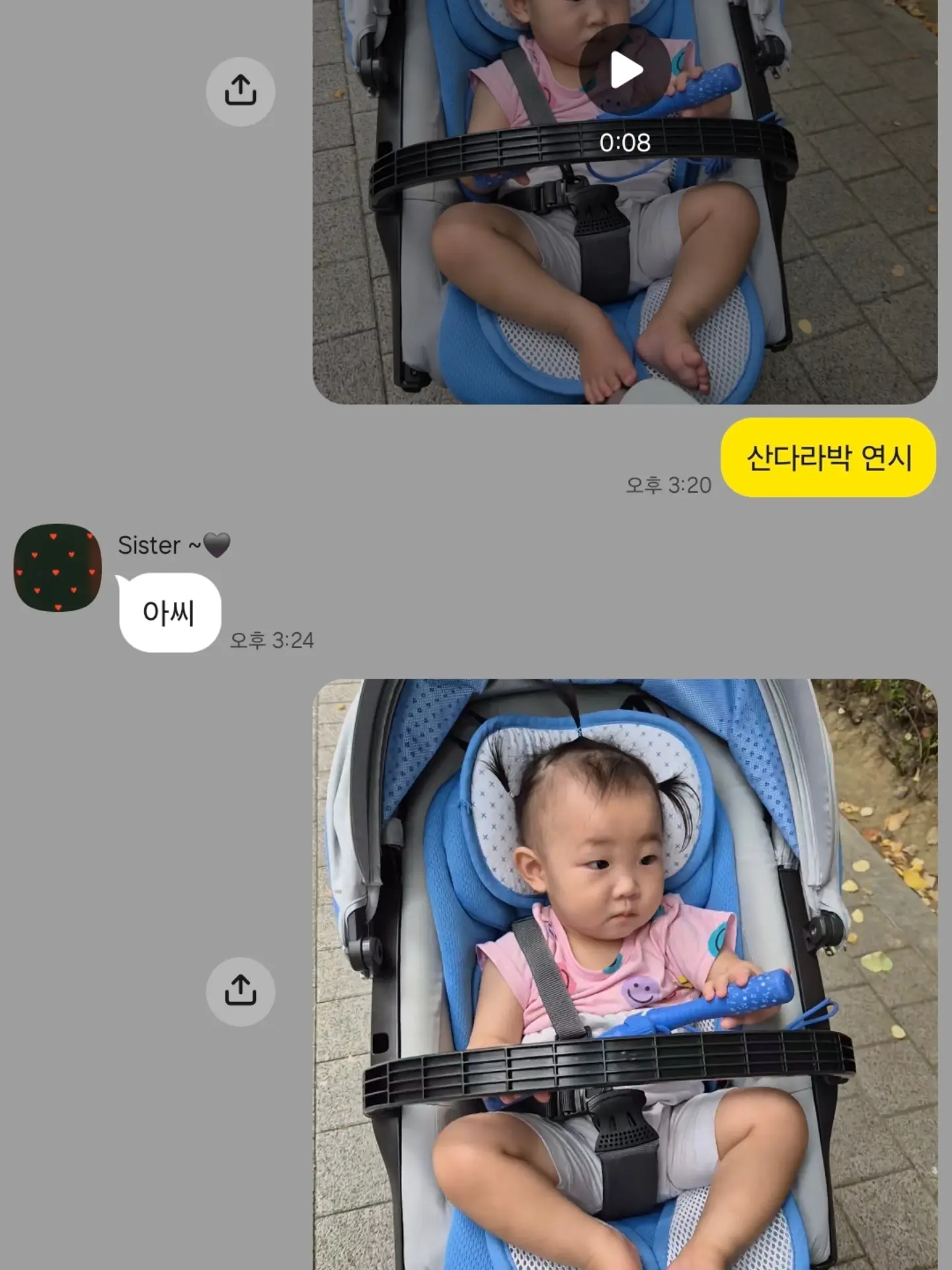 얼갈이+열무김치 8