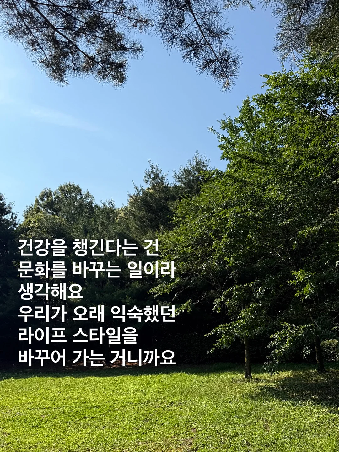 나이키 슬림핏 바막 10
