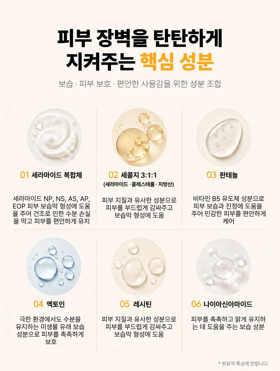 유마카롱 18