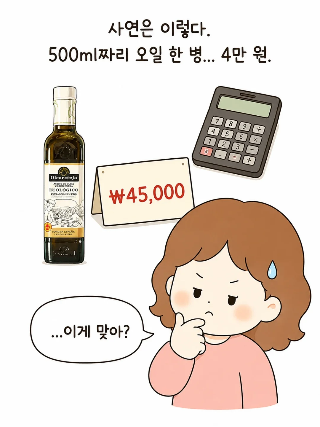 고양이 숨숨집 2
