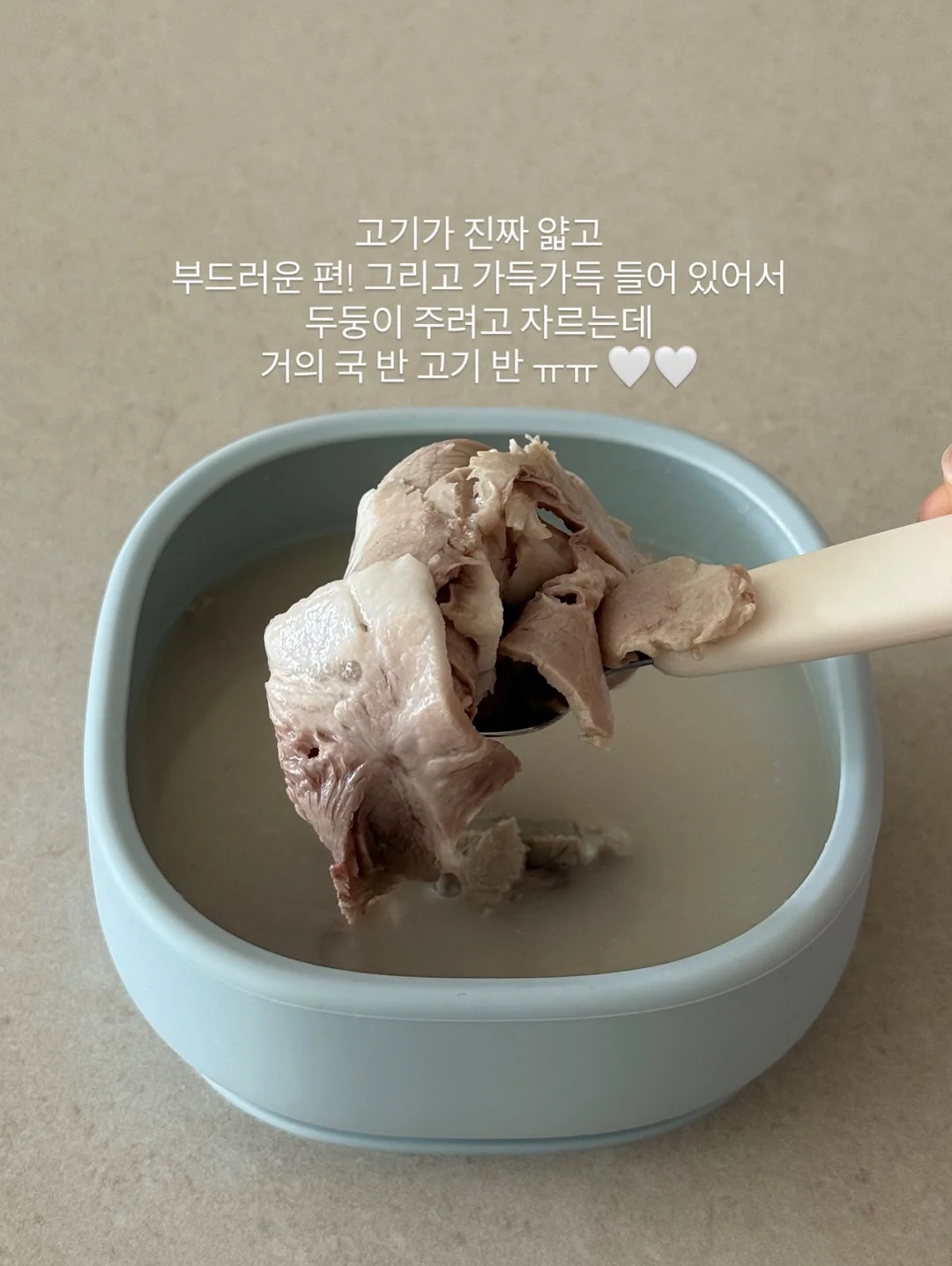 천혜향 5kg 3