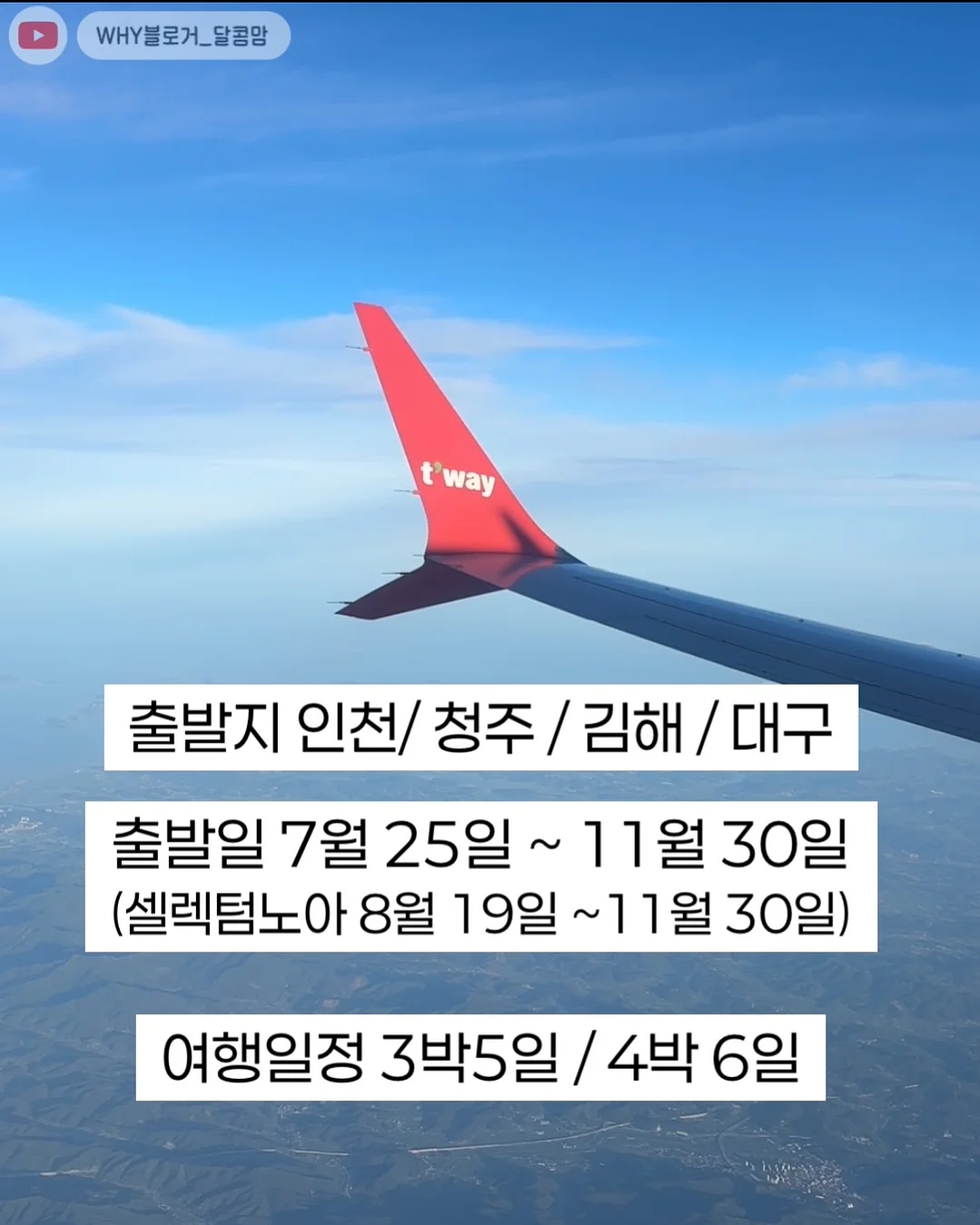 아르기닌 2