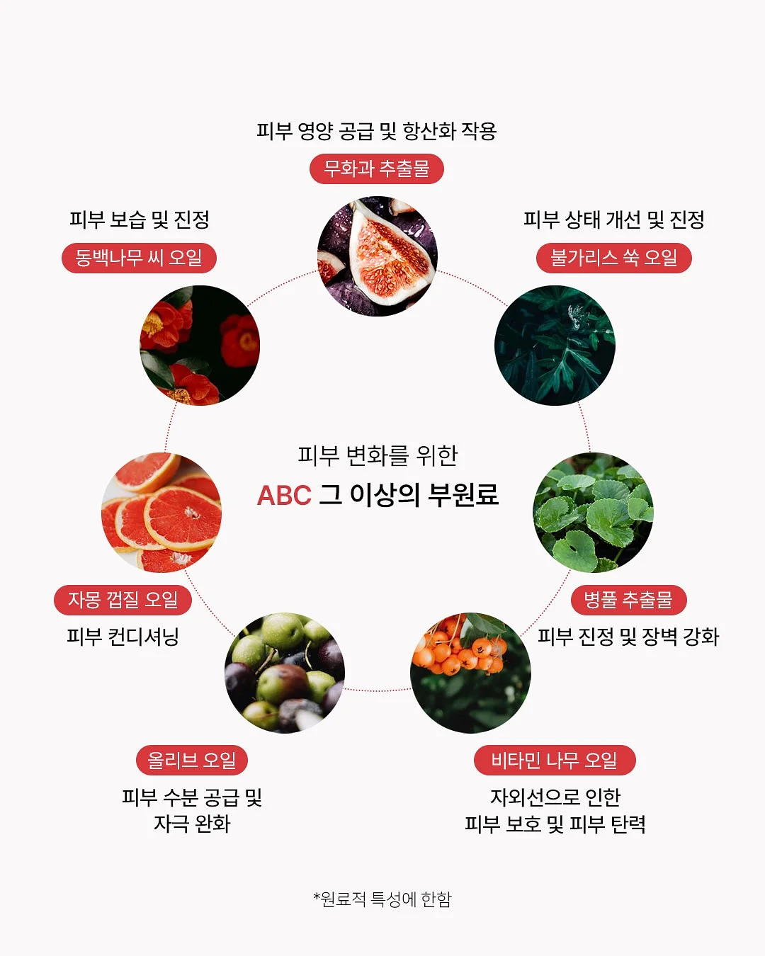 선크림 확인 거울 5