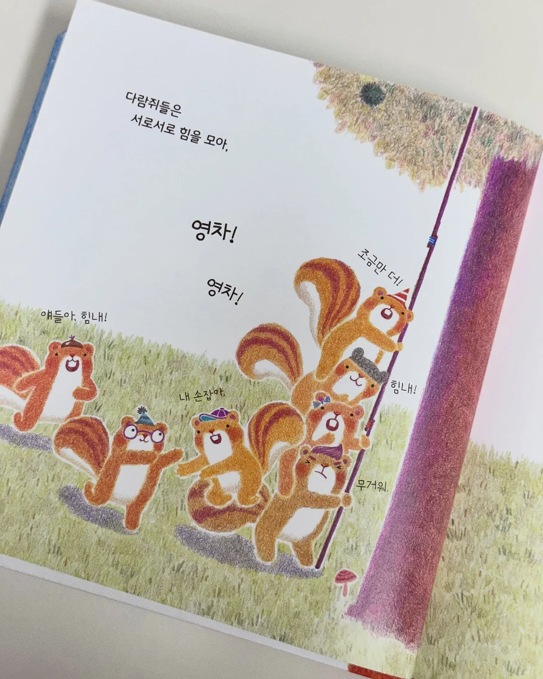 세탁기 먼지제거 거름망 11