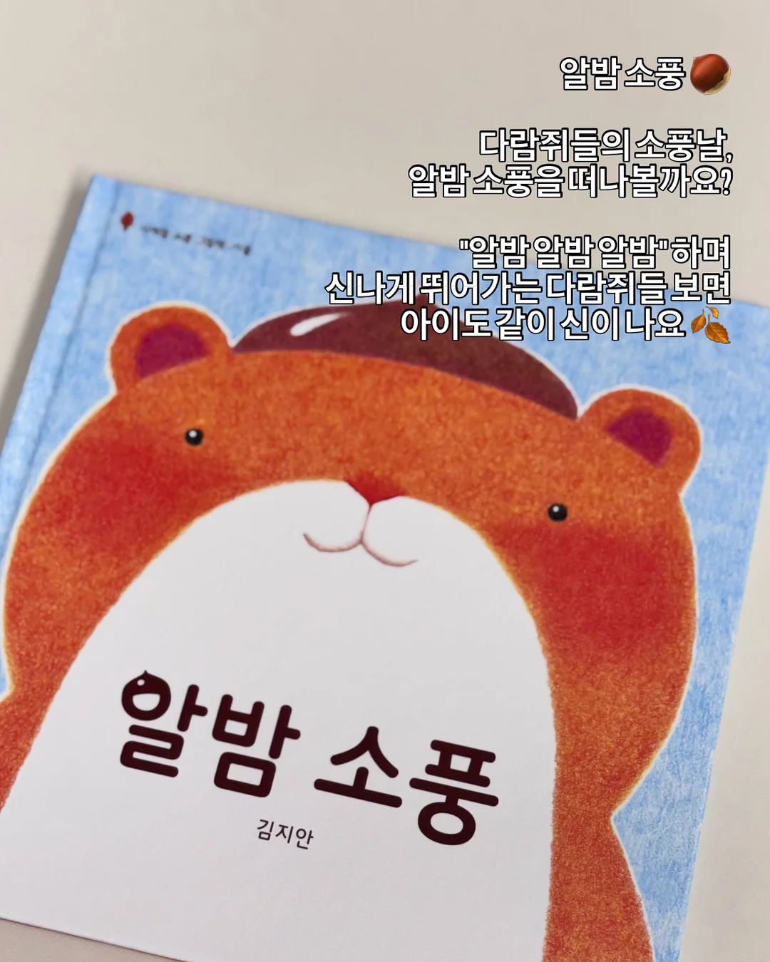 세탁기 먼지제거 거름망 10