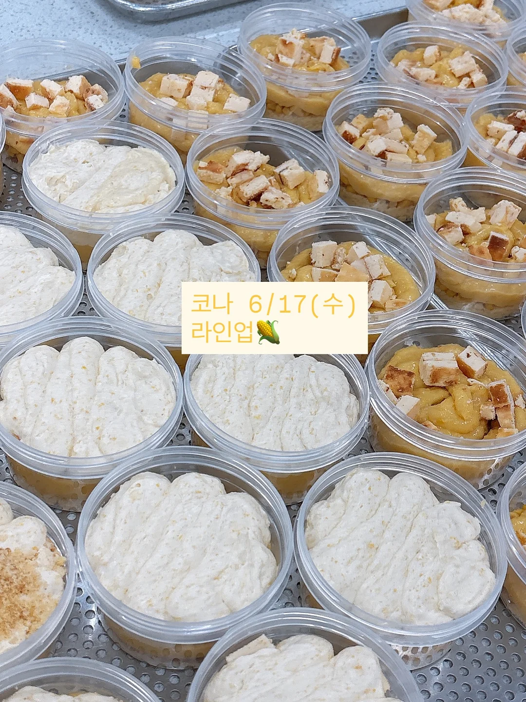 스팀 청소기