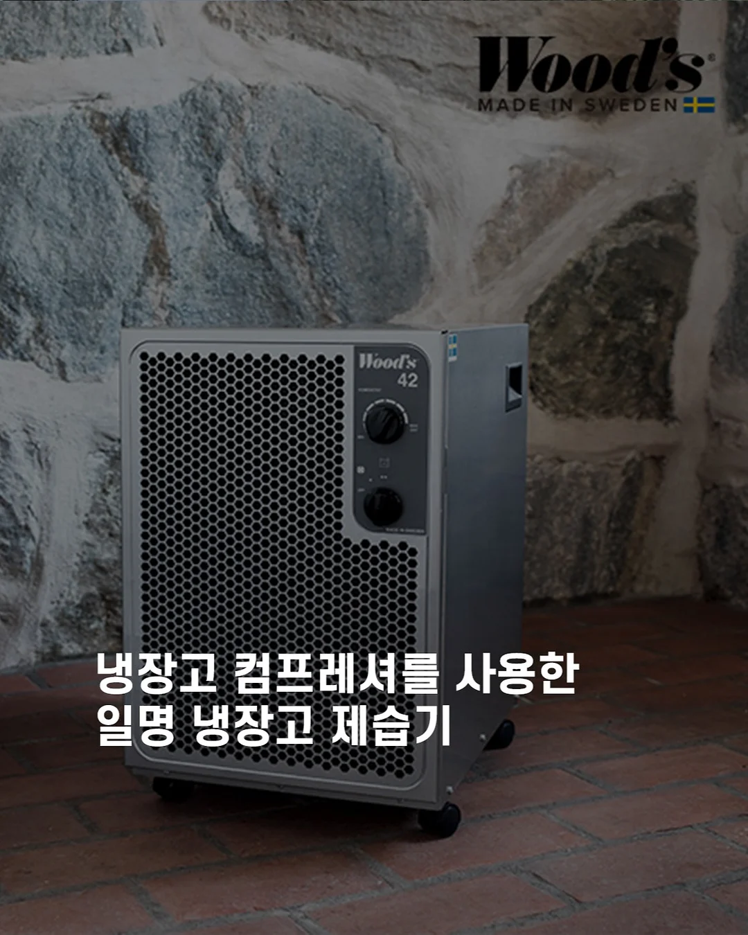 유당 분해 효소 1