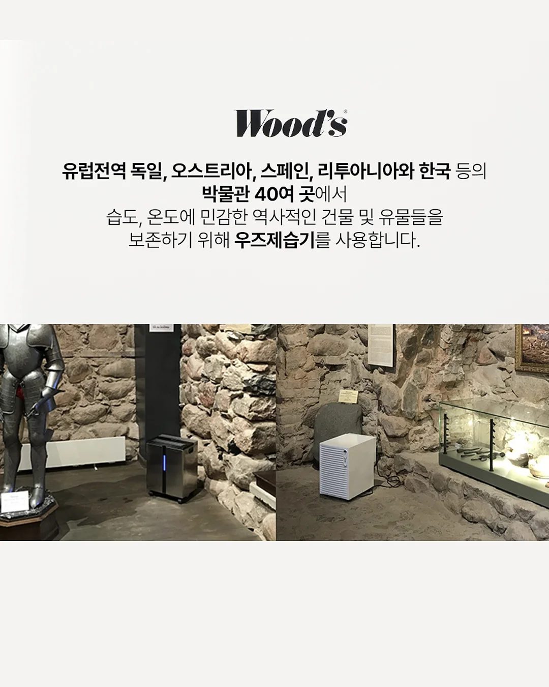 유당 분해 효소 3