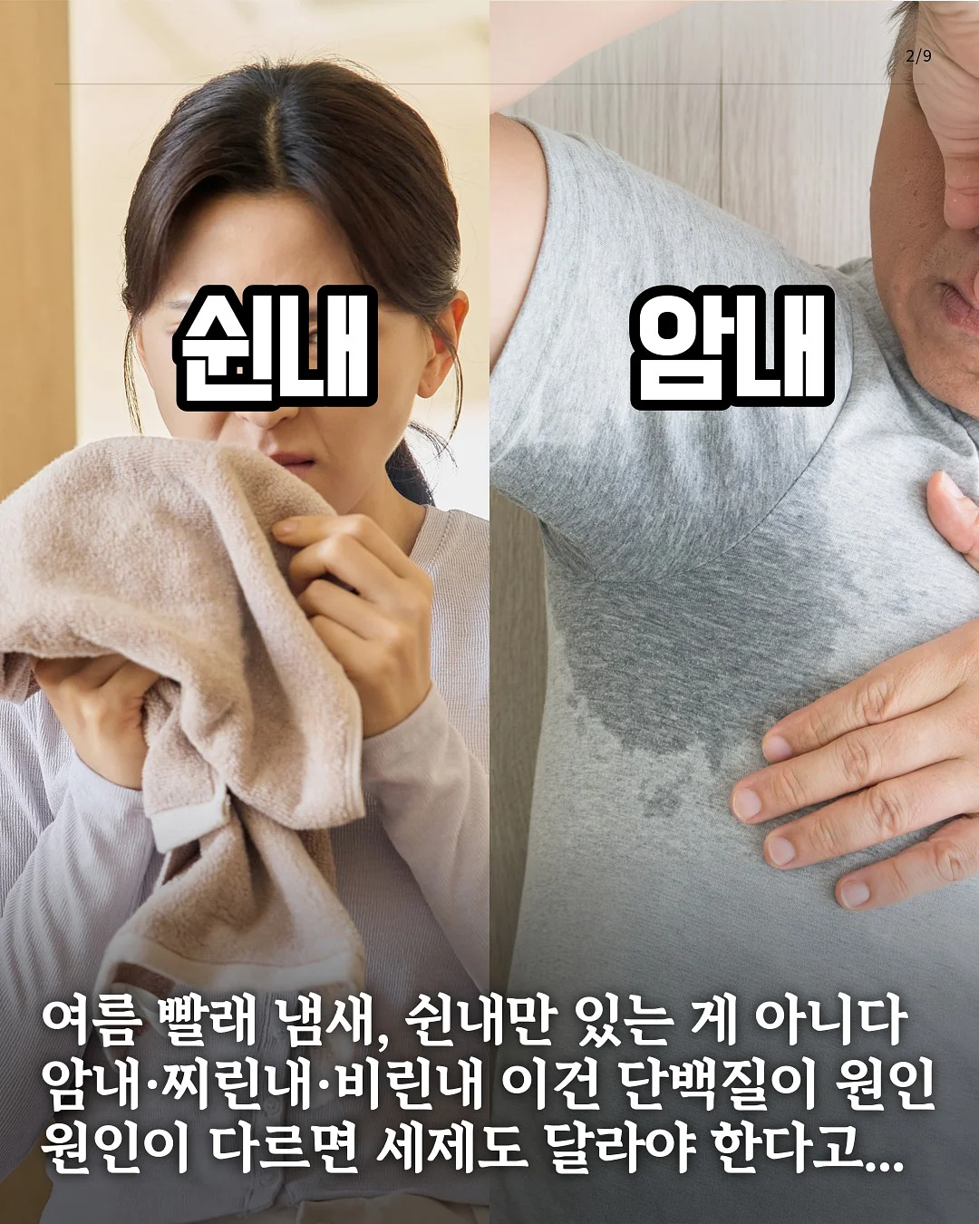 참외 2