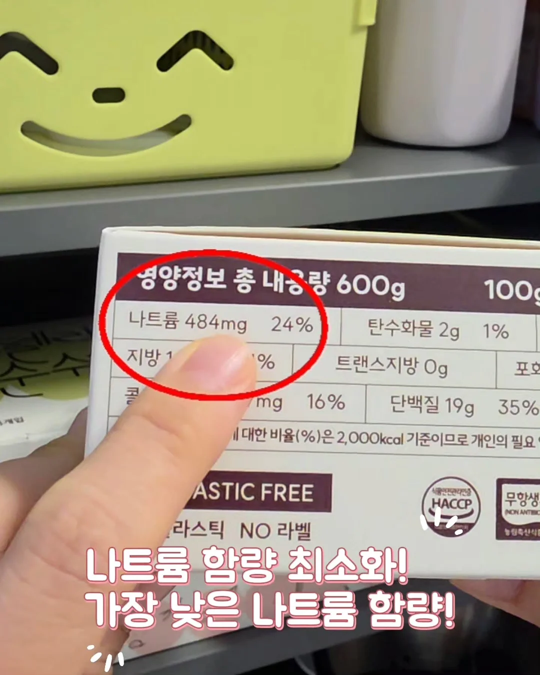 파김치 5