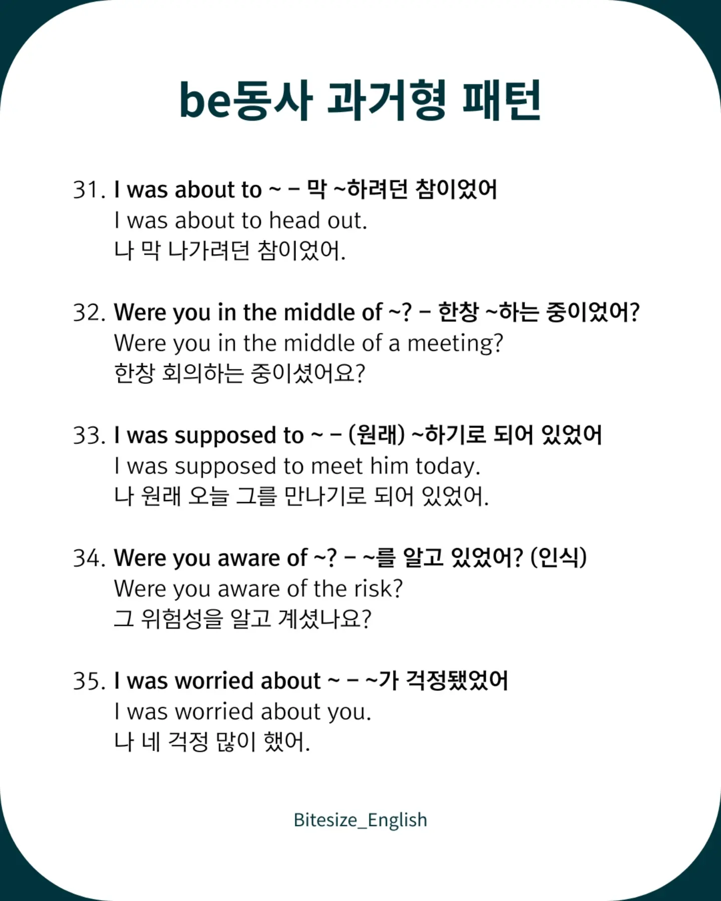 더바조 컬러 8