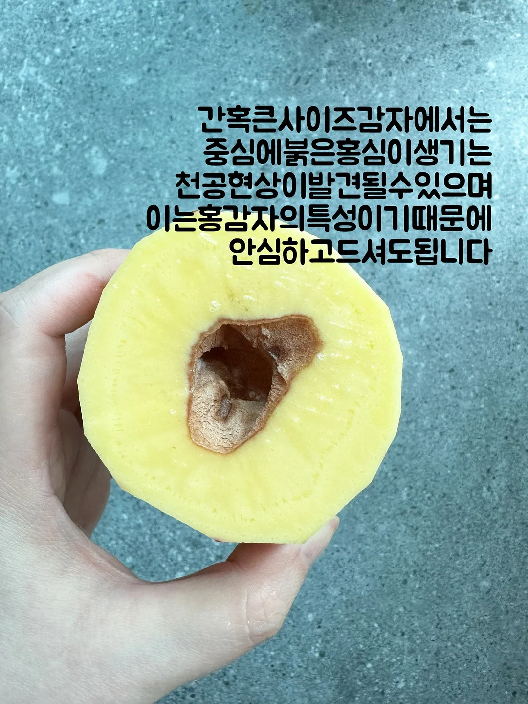 배색 나염 티셔츠 11