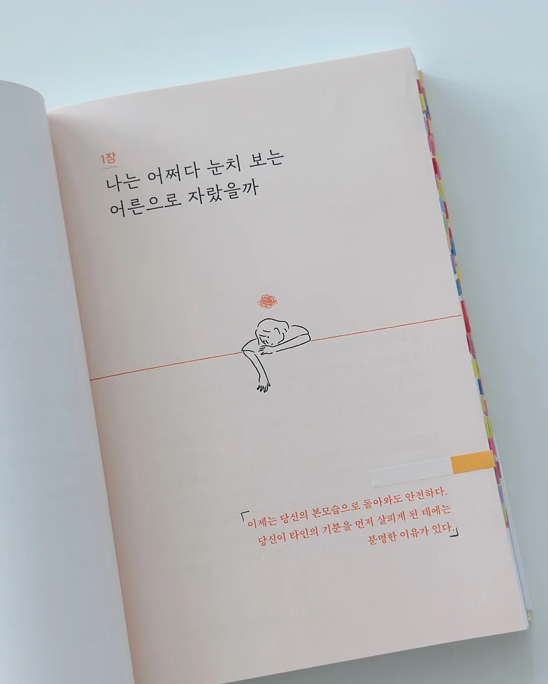 얌얌배색랍빠셋 2