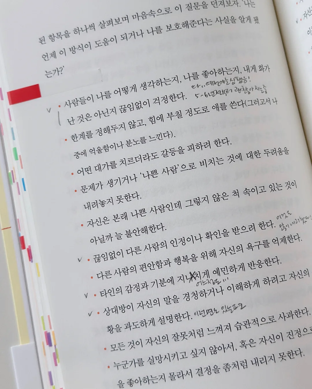 얌얌배색랍빠셋 5