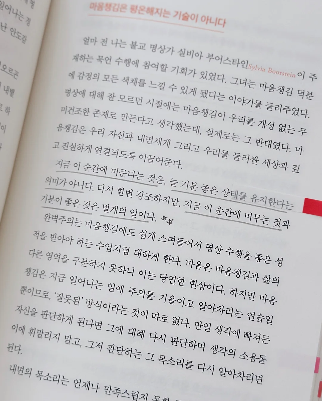 얌얌배색랍빠셋 6