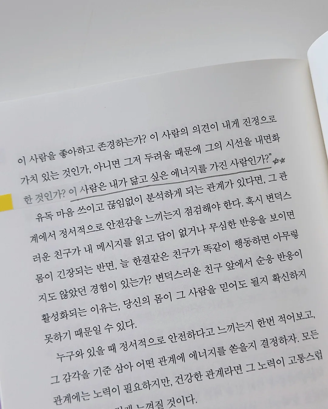 얌얌배색랍빠셋 7
