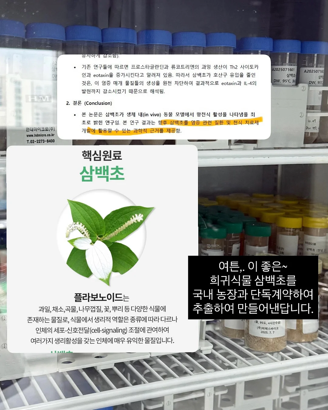 서울랜드 루나패스+ 11