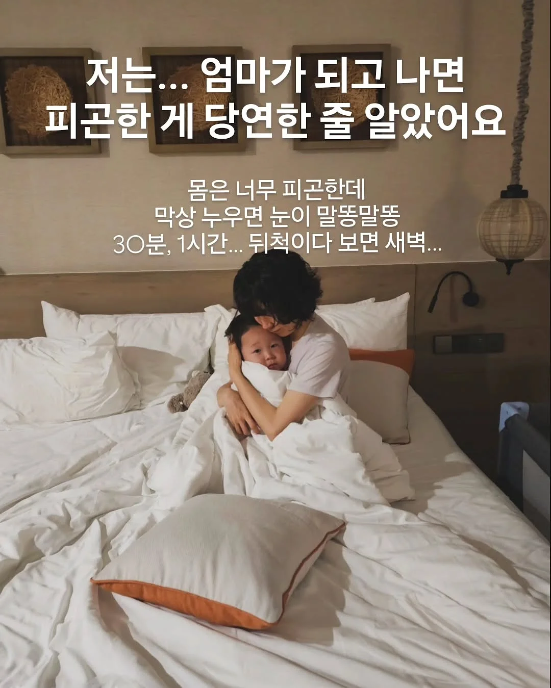 펫애즈 분리불안 영양제 2