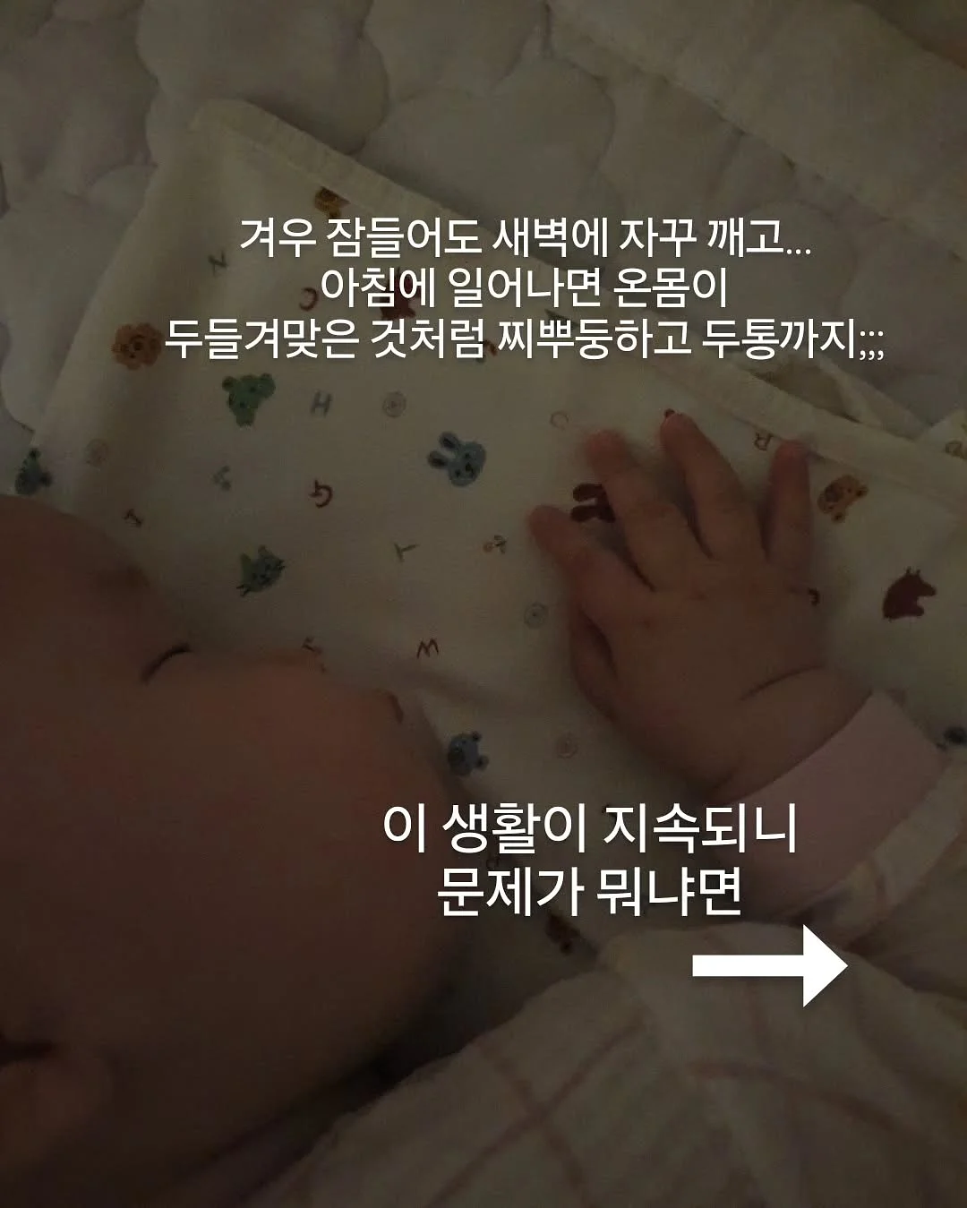 펫애즈 분리불안 영양제 3