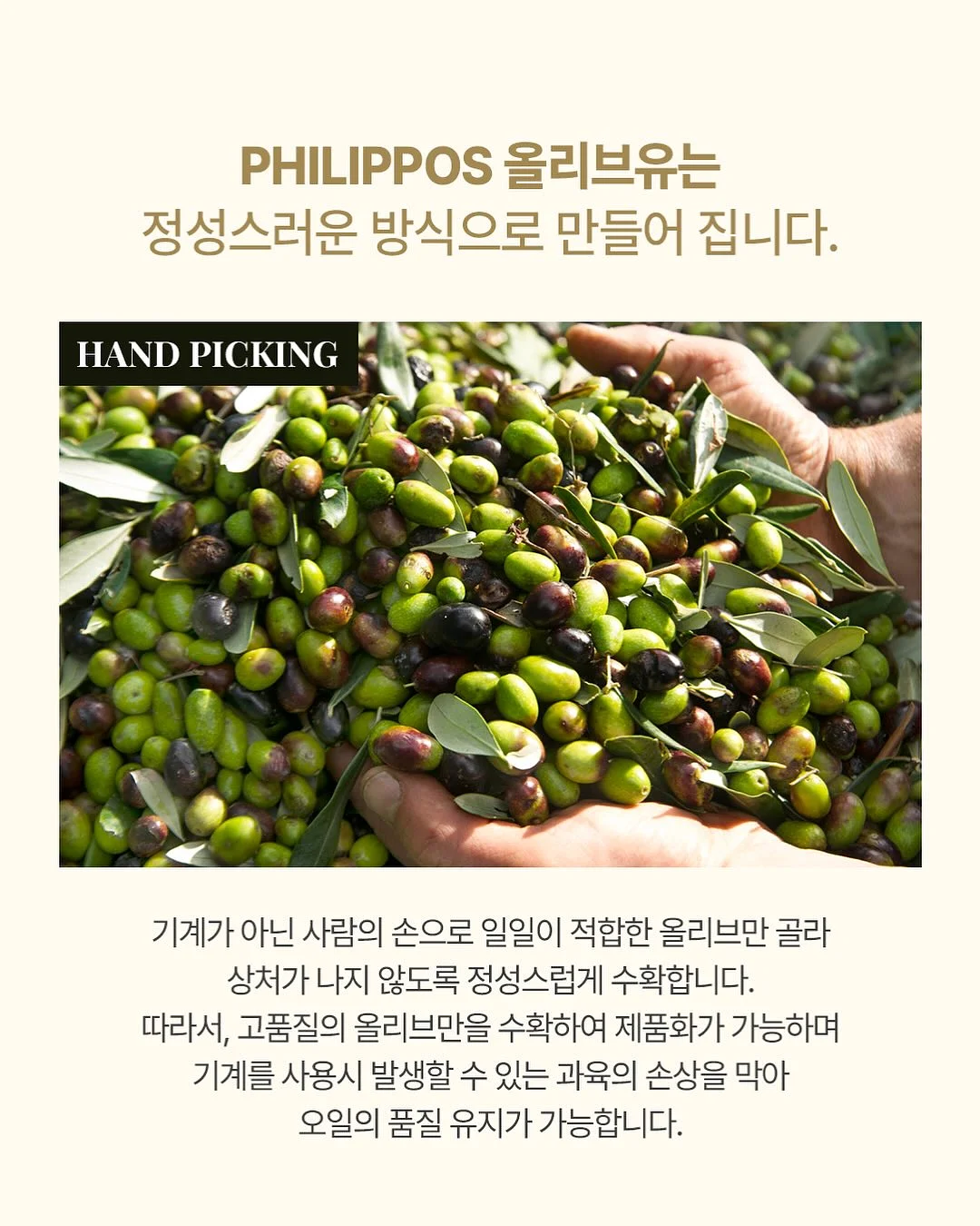 아린 옷 코디 8