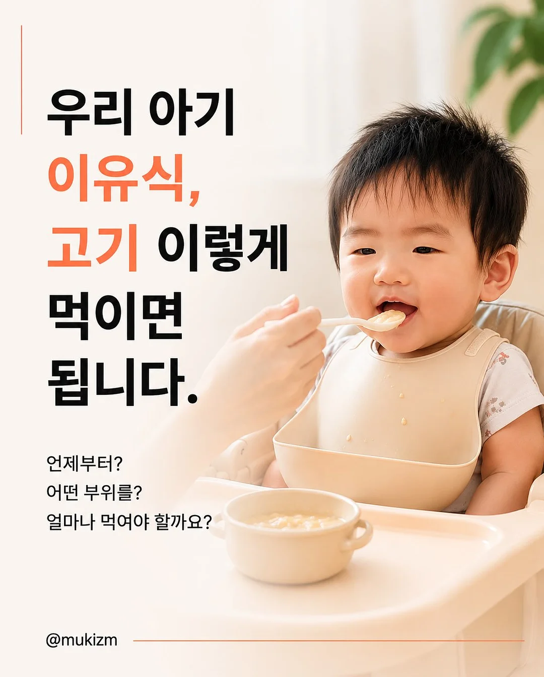 식충 식물 1