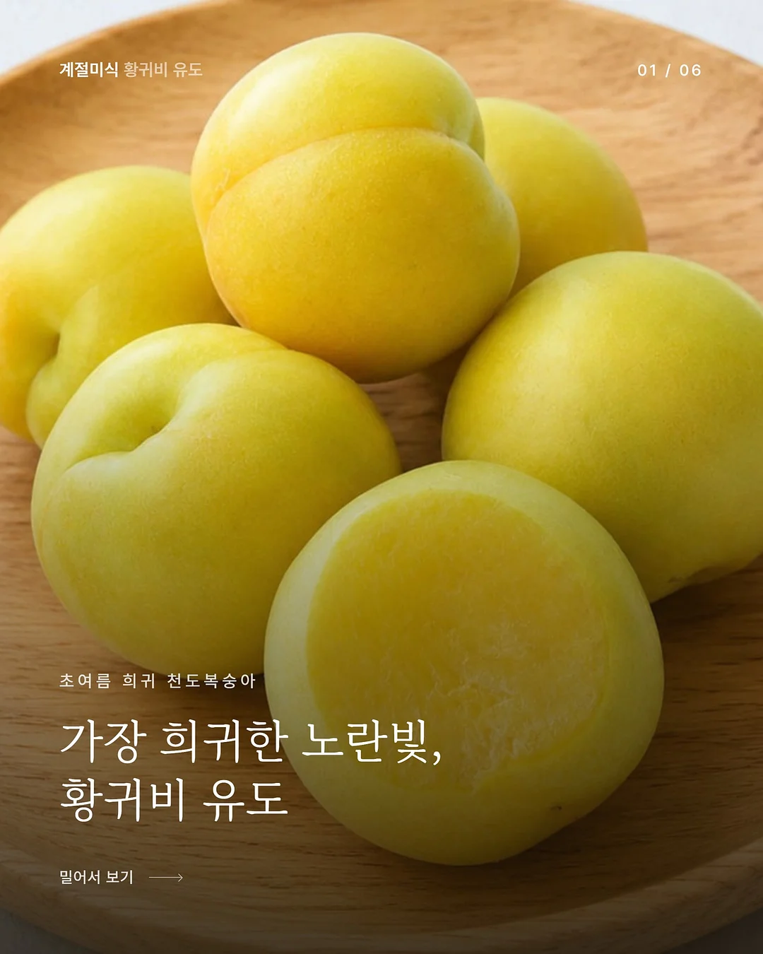 텐셀 청셔츠 1