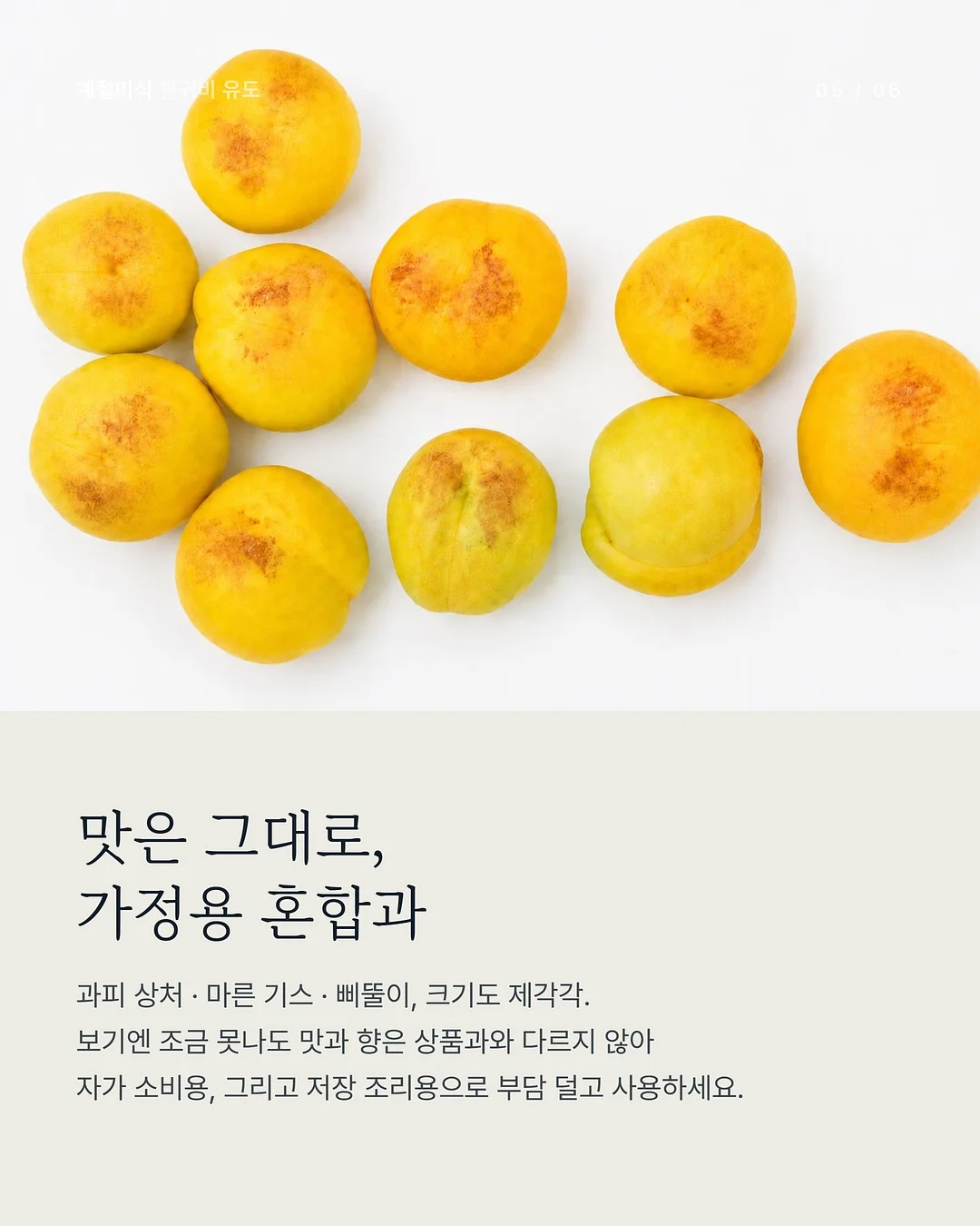 텐셀 청셔츠 5
