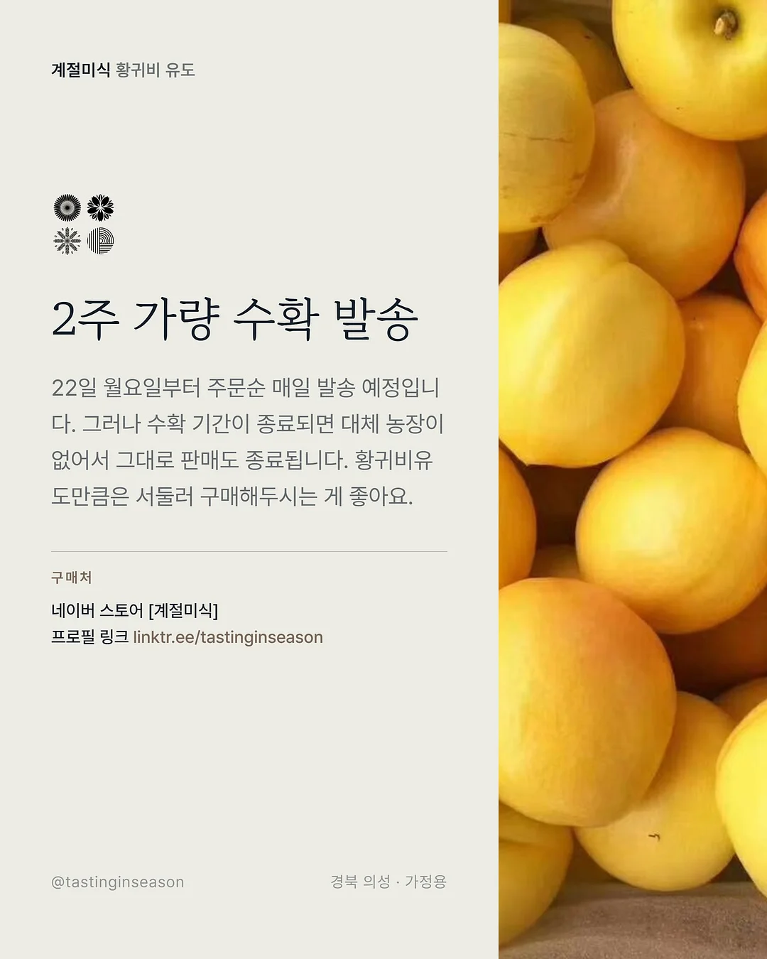 텐셀 청셔츠 6