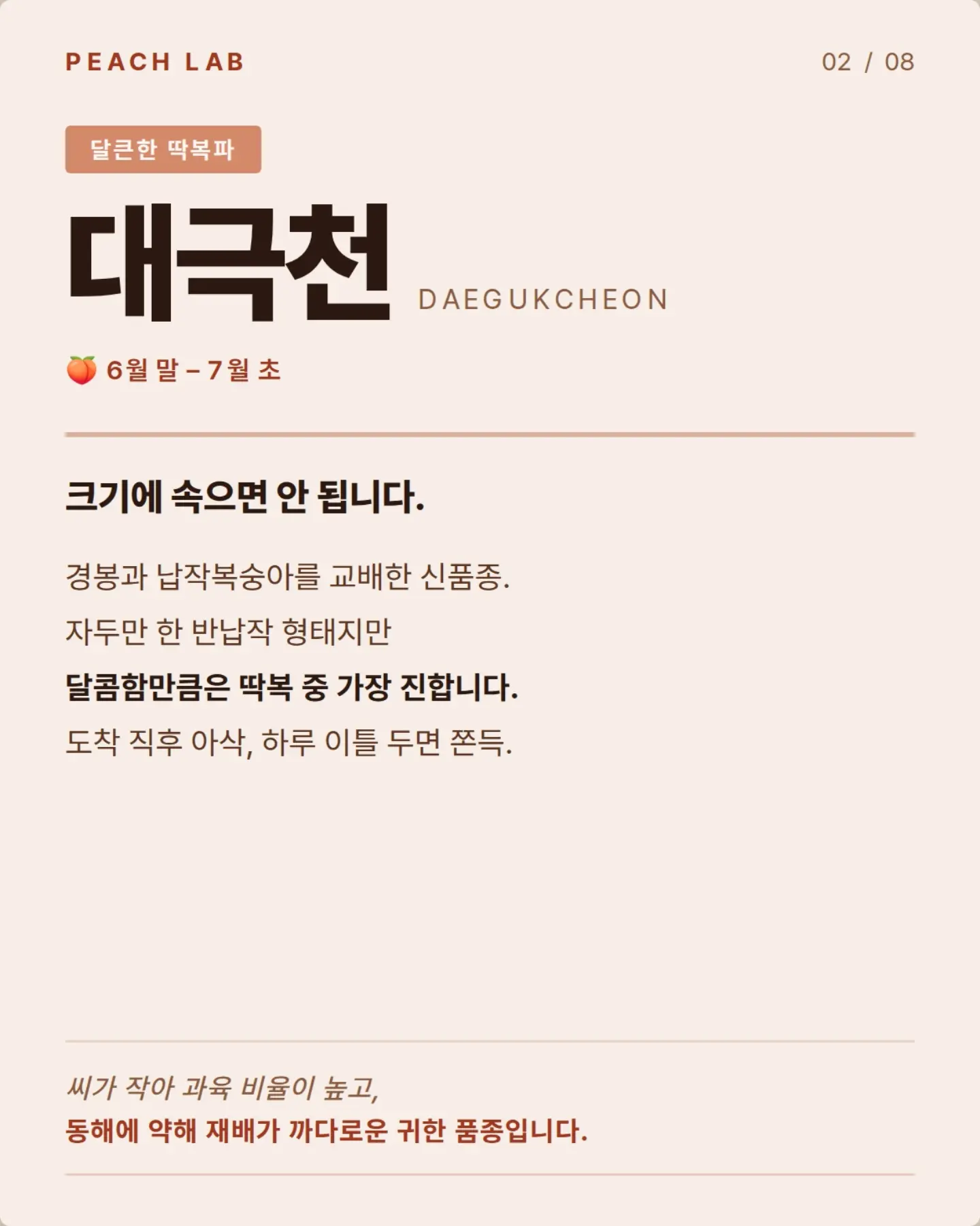 젤리립 2