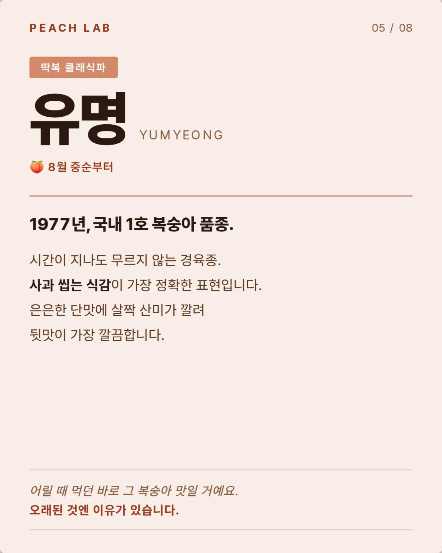 젤리립 12