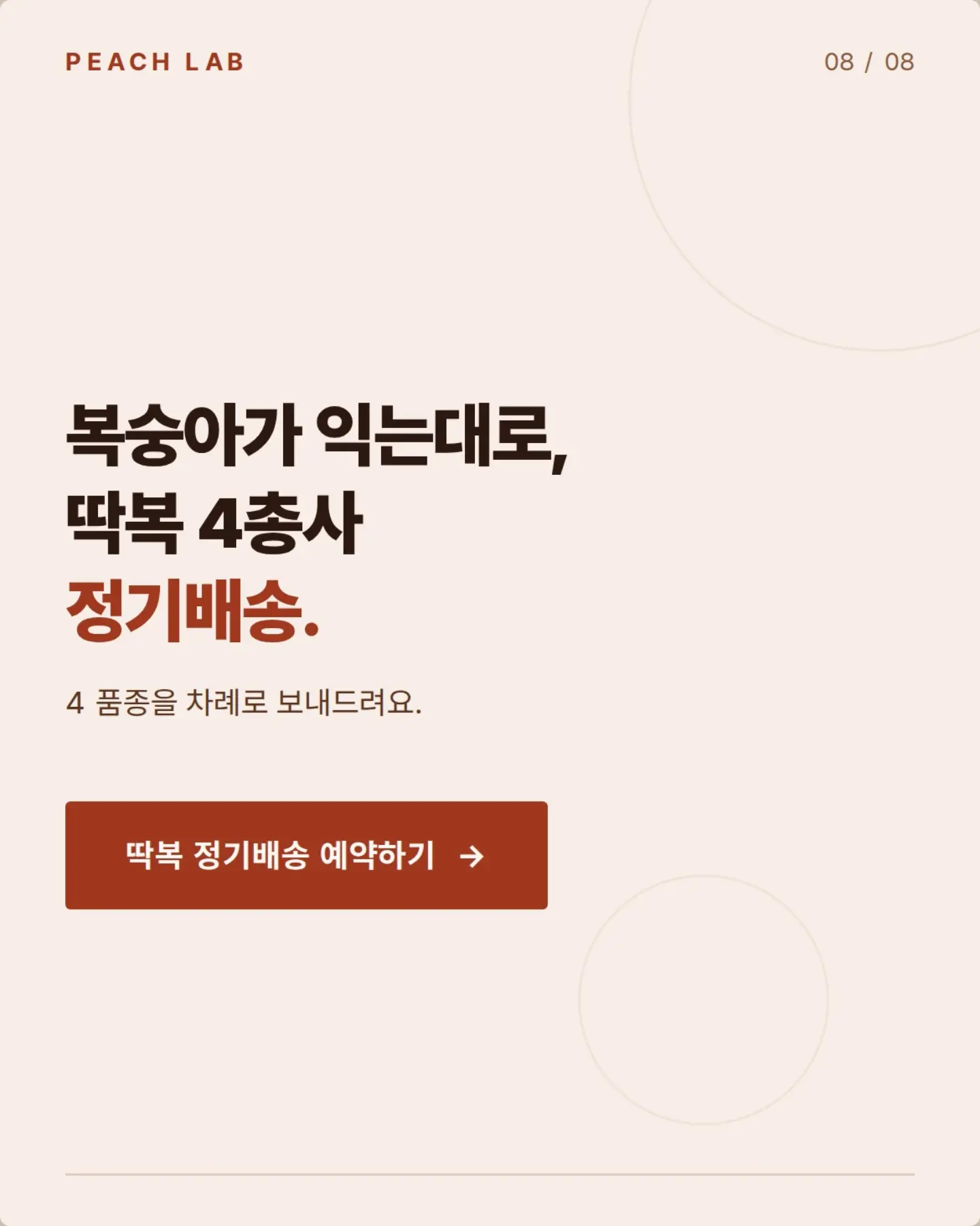 젤리립 17